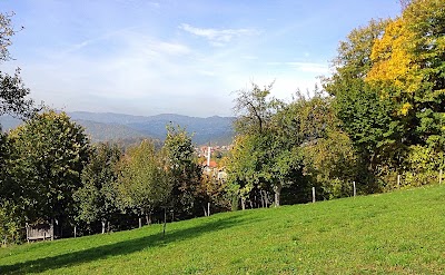 Photos of Drafnićka džamija