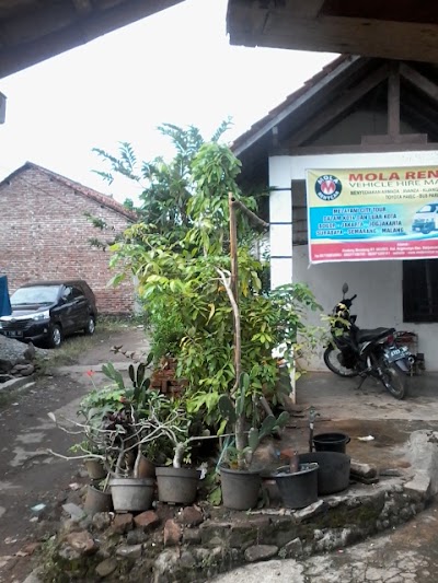 Photos of Mola Rental Mobil Cirebon
