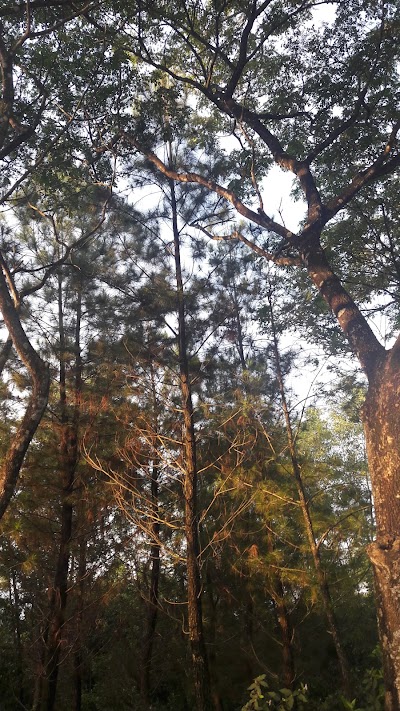 Photos of Bumi Perkemahan Karang Kitri
