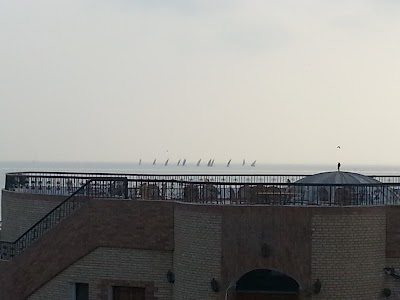 Photos of Tolip inn fayed resort