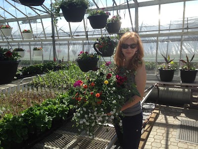 Photos of Dieter Martin Greenhouse Ltd