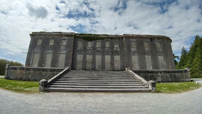Photos of Curraghchase Forest Park