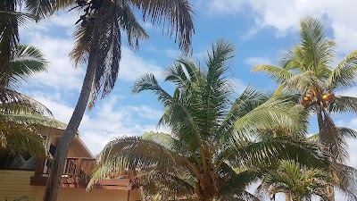 Photos of Little Cay from "Utila Cays Rentals"