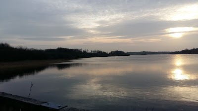Photos of Dromore Woods trailhead