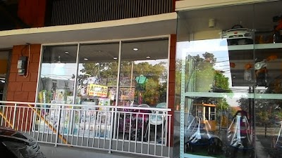 Photos of Indokids