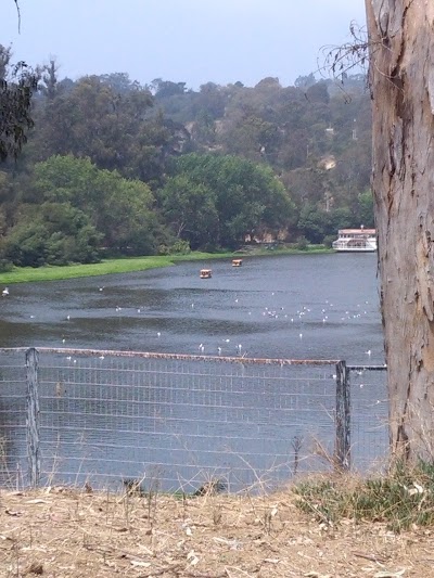 Photos of Laguna Sausalito