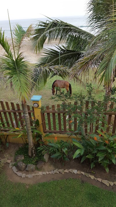 Photos of Hotel Capitan Beach