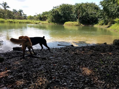Photos of Proyecto Lagos Del Toro