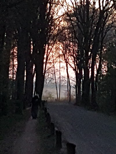 Photos of Ald&ouml;rrum camping