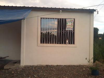 Photos of Galeria A&ntilde;oranzas De Mi Tierra
