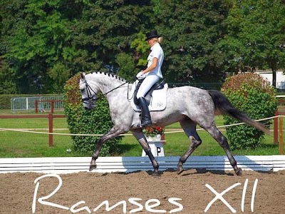 Photos of Liivaku Stables