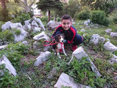 Photos of garden "Algeria"