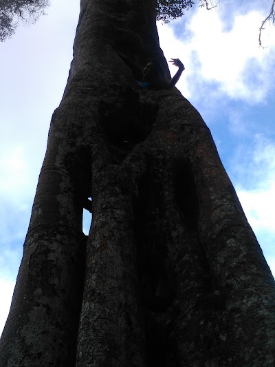 Photos of Parque Verde & Agua