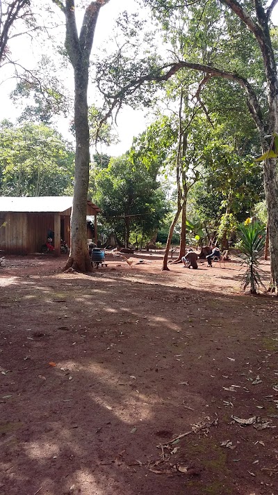 Photos of Iguazu Bike Tours
