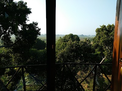 Photos of Yala Luxury Tree House