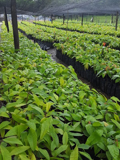 Photos of Vivero LA ESPERANZA