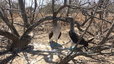 Photos of Protection Center Isla de La Plata
