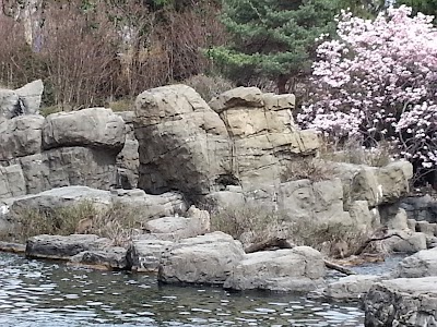 Photos of Central Park Zoo