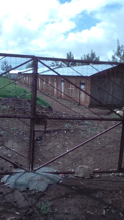 Photos of Timau Hills Academy
