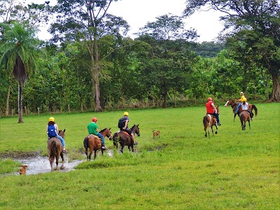 Photos of Tropical Escapade