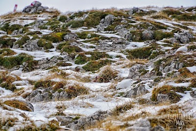 Photos of Gro&szlig;er Pyhrgas