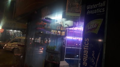 Photos of Waterfall Aquatics