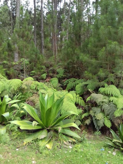 Photos of La Visite National Park