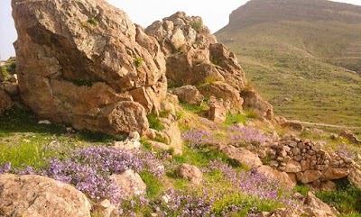 Photos of قصبة يلمان