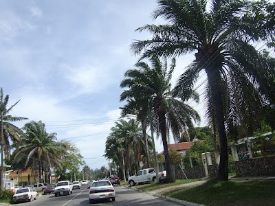 Photos of Vicente Dantoni