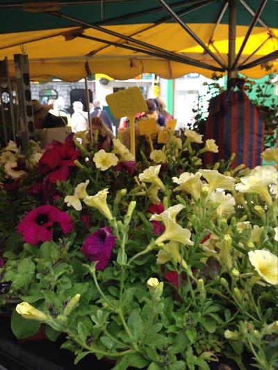 Photos of Burkes Garden Centre