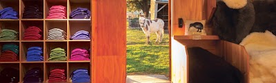Photos of The Tin Shed