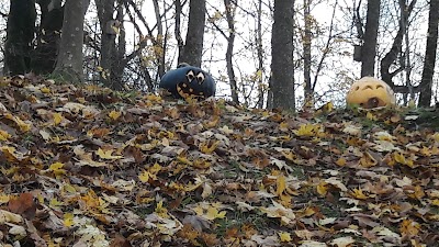 Photos of &Scaron;vėk&scaron;nos muziejus