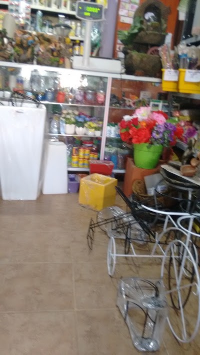 Photos of VIVERO EDEN