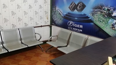 Photos of Tiger Ecu Repair