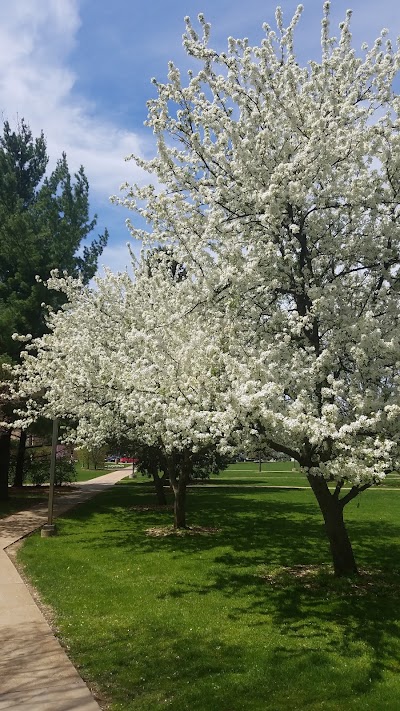 Photos of Saint Mary's College