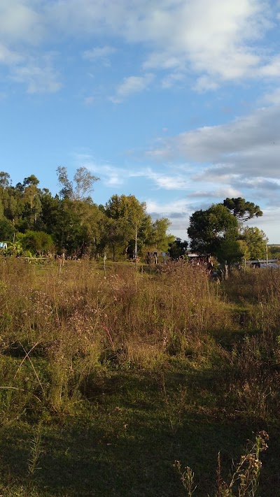 park