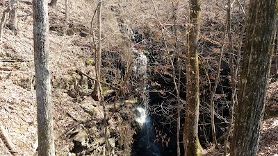 Photos of Lost Sink Falls