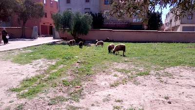 Photos of Caf&eacute; Almaouaid