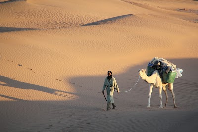 Photos of CHOUGAN TRAVEL MOROCCO