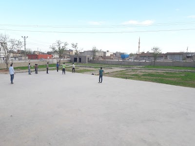 park