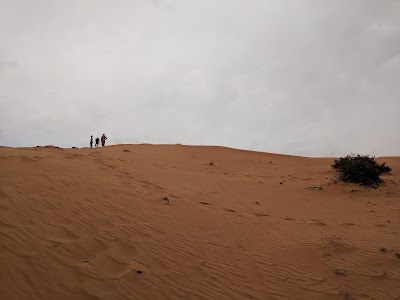 Photos of Acacia crossing