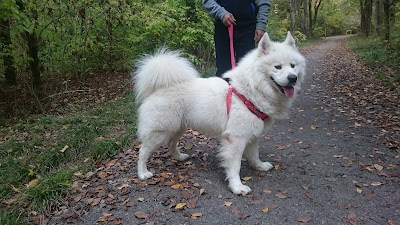 Photos of Хали-гали (басейна)