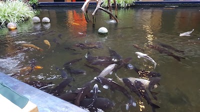 Photos of Stichting Humanitas