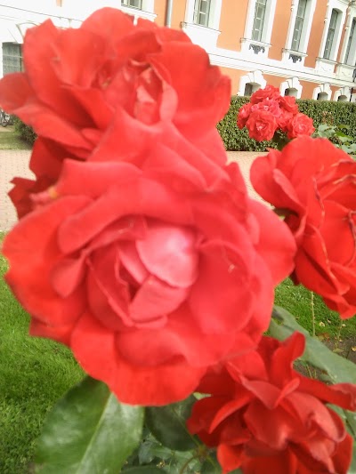 Photos of Pils parks