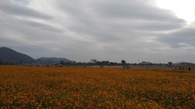 Photos of 문화대교