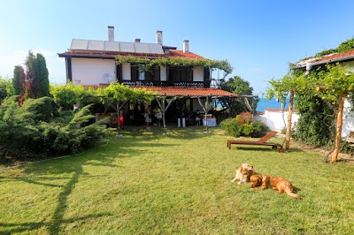 Photos of Villa Maxim