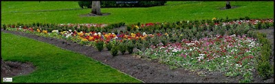Photos of Peoples Park
