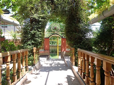 Photos of CHARM HOTEL