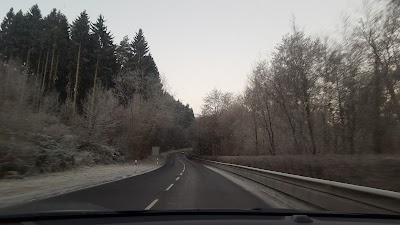 Photos of Fraiheetsbam (for&ecirc;t entre Strassen et Bridel)