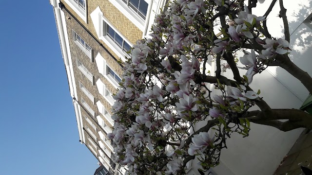 Camden Square Gardens